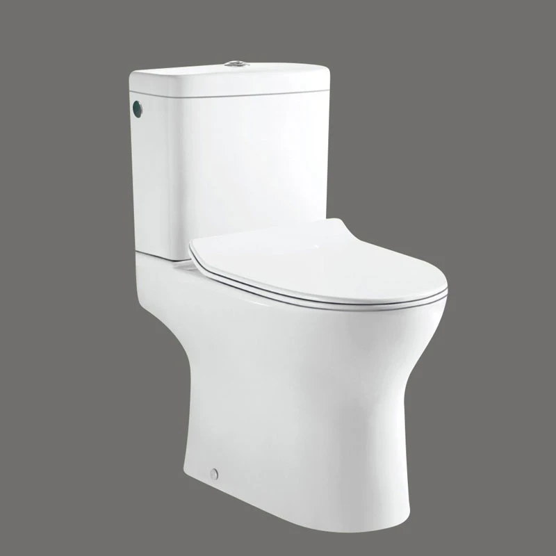 אסלת מונובלוק רימלס דגם המבורג - HAMBURG