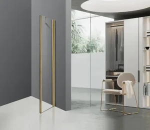 מקלחון דופן קבועה FIX זהב להרכבה